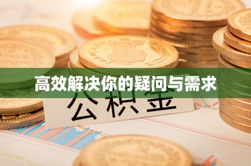 指导高效解决你的疑问与需求