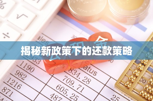 指导揭秘新政策下的还款策略