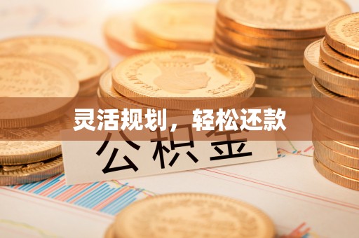 指导灵活规划，轻松还款